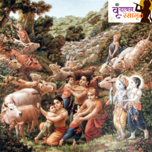 Krishnashtakam image 4 - vrindavanrasamrit